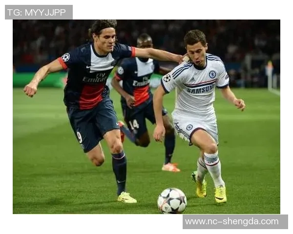 球迷行为学研究